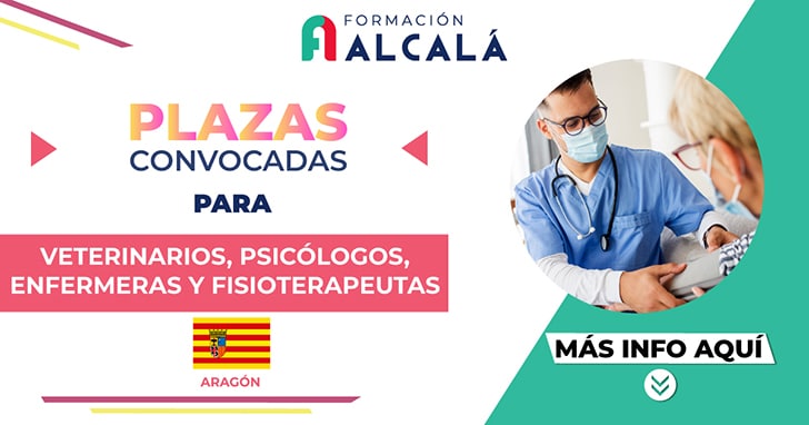 Aragón convoca plazas para veterinarios, psicólogos, enfermeras, fisioterapeutas, TCAE… [Actualizado]